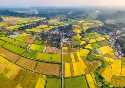 湖南省天然资源厅颁布一批村落振兴用地保险范例