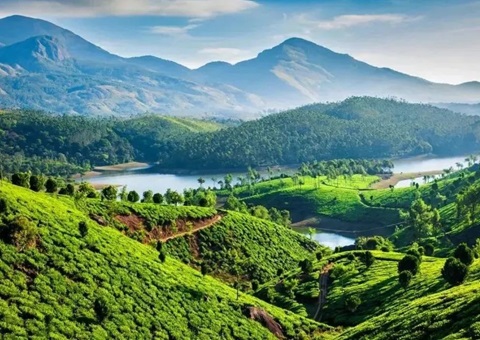 陕西在全国率先成立省级天然资源领域生态；ぷ菹蜃酆吓獬セ