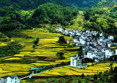 德阳市国度深入集体经营性建设用地入市试点顺利实现