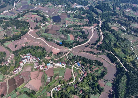 内江市东兴区局全面做好耕地； 全力做好用地保险