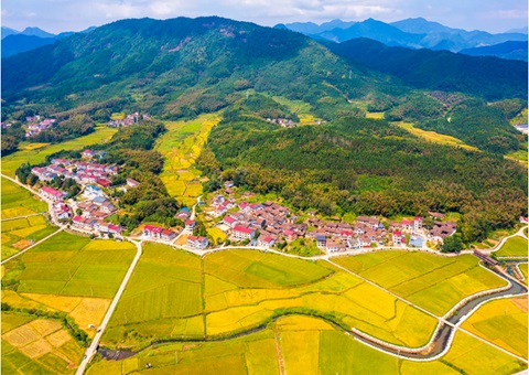 索求村落“土味”生金路——聚焦福建省“农地入视妆试点工作