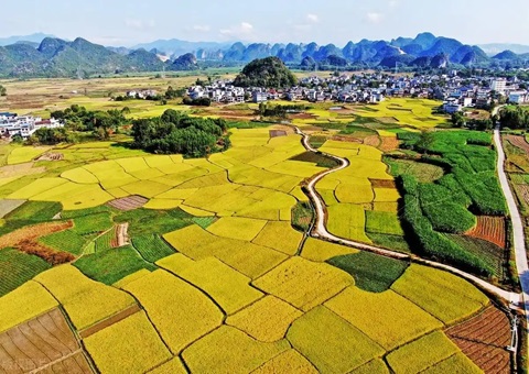 强化“指挥棒”作用&nbsp;&nbsp;柳州市发放500万元耕地；ぁ凹だ彀