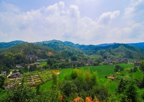 江西省赣州市石城县：紧扣“三提三用”工作主线 铸造天然资源铁军