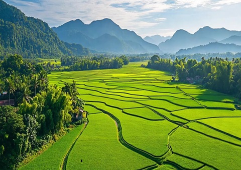 “天然资源+税务”协同共治！崇左筑牢耕地；び胨笆铡八老摺