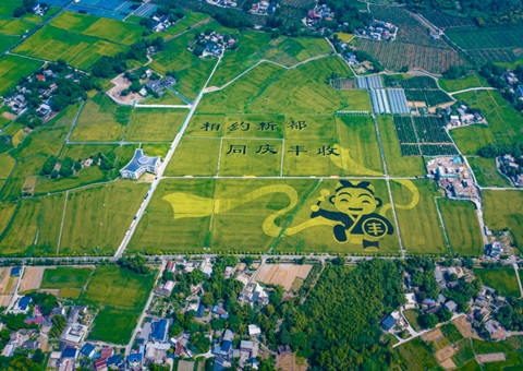 成都颁布耕地；す婊〗10年这样筑牢“天府粮仓”根基