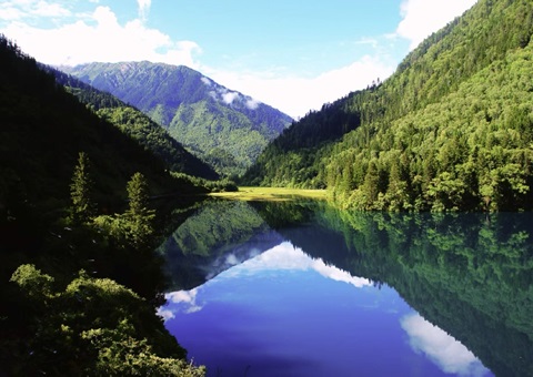 预计2025年底，四川省“林粮”产量1500万吨、产值1800亿元