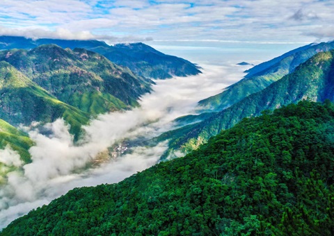 “组合包”，通顺生态产品价值转化