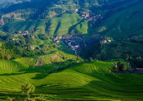 普洱市开启“绿海明珠”天然资源治理新纪元