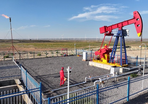 宁夏纵深推动新一轮找矿突破战术行动，执行一批煤层气、页岩气、煤炭等勘查项目