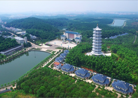 湖北：用好“一张图” ，智治有支持