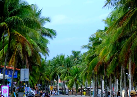 建“清冷城视妆，海南有何“凉方”?