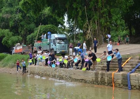 落实沉大工程生态赔偿！79万尾鱼苗“安家”龙州左江湿地