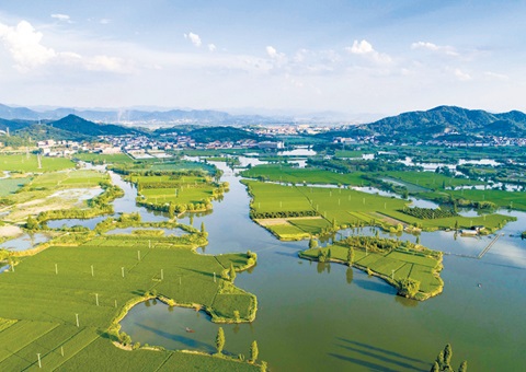 浙江率先完玉成国首个国度公园资产查究试点和全省域建设用地使用权情况查究。