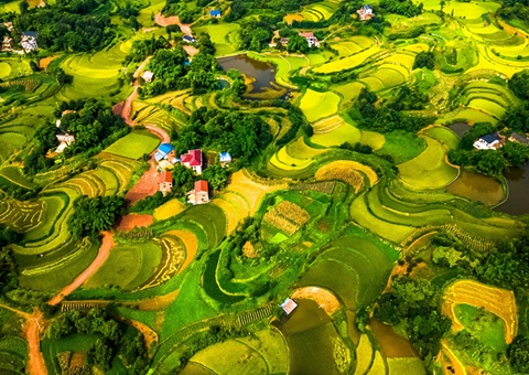 @农夫伴侣 2025年沉庆市耕地地力；げ怪婊戳