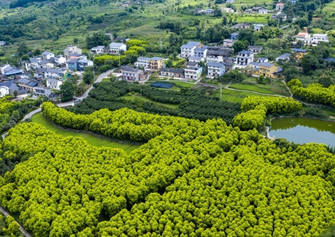 沉庆村落休闲游览形成点线面立体式发展&nbsp;&nbsp;建设全国休闲农业沉点县8个、中国俏丽休闲村落90个