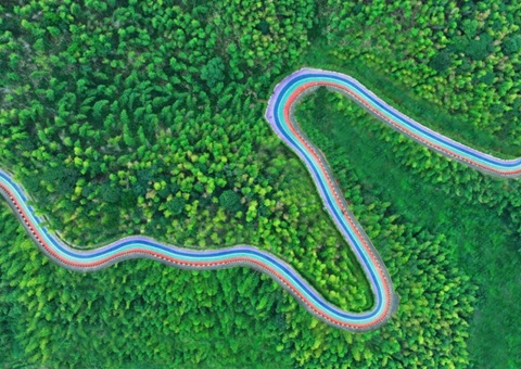 组合供给出新招，竹海收益节节高——桃江县“桃花江竹海”天然资源资产组合供给推动生态产品价值实现案例