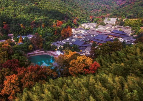 浙江：丛林公园生态游览若何高质量发展？