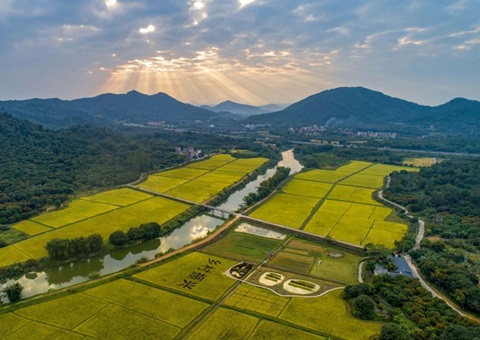 创新财政支持 造就典型项目 | 广东省成立“补改投”支持全域地皮综合整治机造