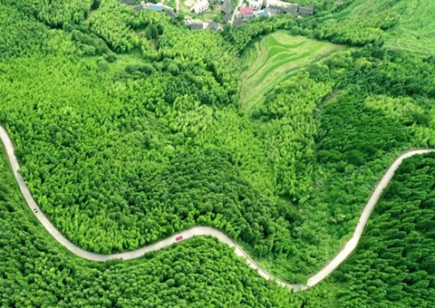 湖南颁布用地用林用草融合审批“路线图”